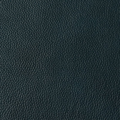 2910 Sample