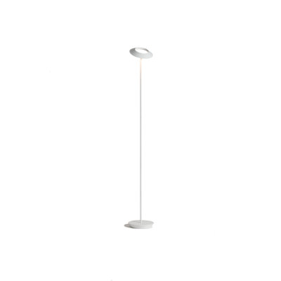 Royyo LED Floor Lamp