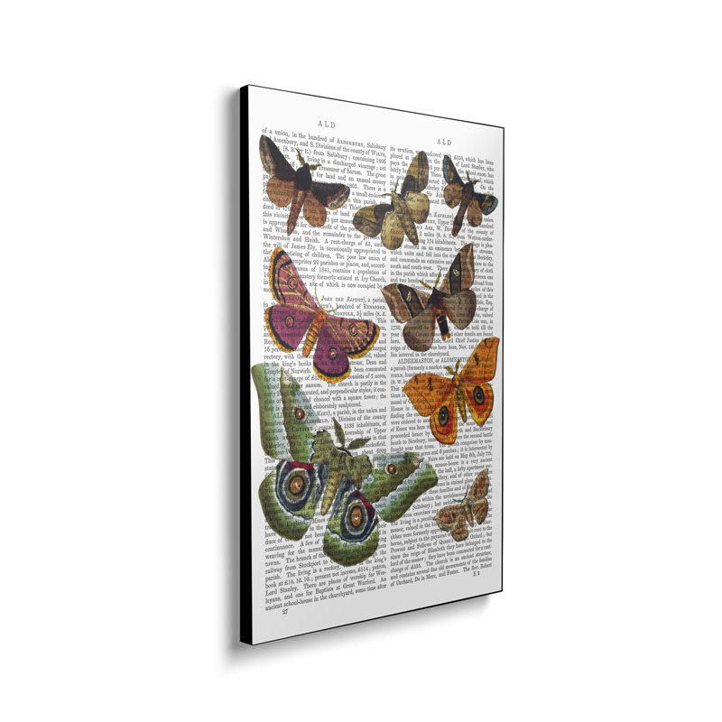 Impression sur toile, "Steppeix" par Fab Funky