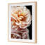 Floribunda II Print by Alicia Bock-1498420165-1498420171