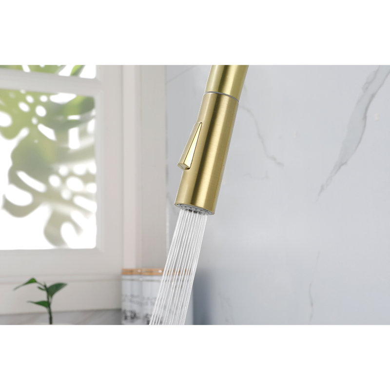 Robinet de cuisine avec douchette extractible