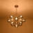 13 - Sputnik Glass Globe Chandelier-1584500958