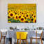 «Endless Sunflower Field», reproduction sur toile-218508427