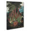 Stapelia Plant by R.J. Thornton - Wrapped Canvas Painting-55318727