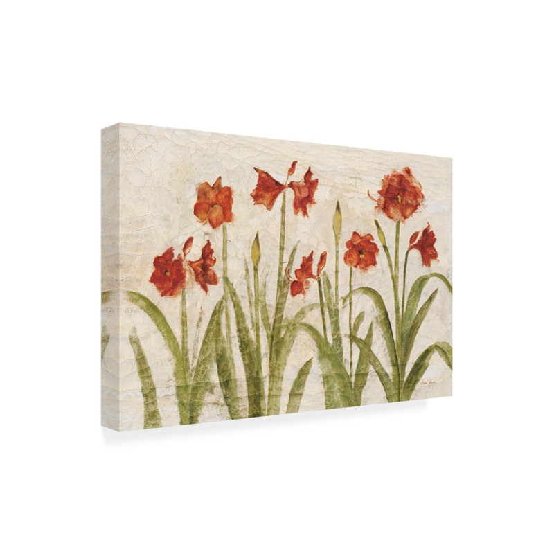 Art sur toile Cheri Blum «Row of Red Amaryllis Light», H 16 po x l 24 po x P 2 po