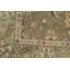 Oriental Area Rug