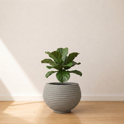 Josellyn ECOBO EcoFriendly Round Pot Planter, Heliconia Indoor Outdoor use, Four Season Use