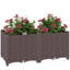 Raised Garden Bed-1412566550