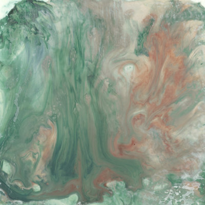 Greenbriar I by Renée W. Stramel - Wrapped Canvas Painting