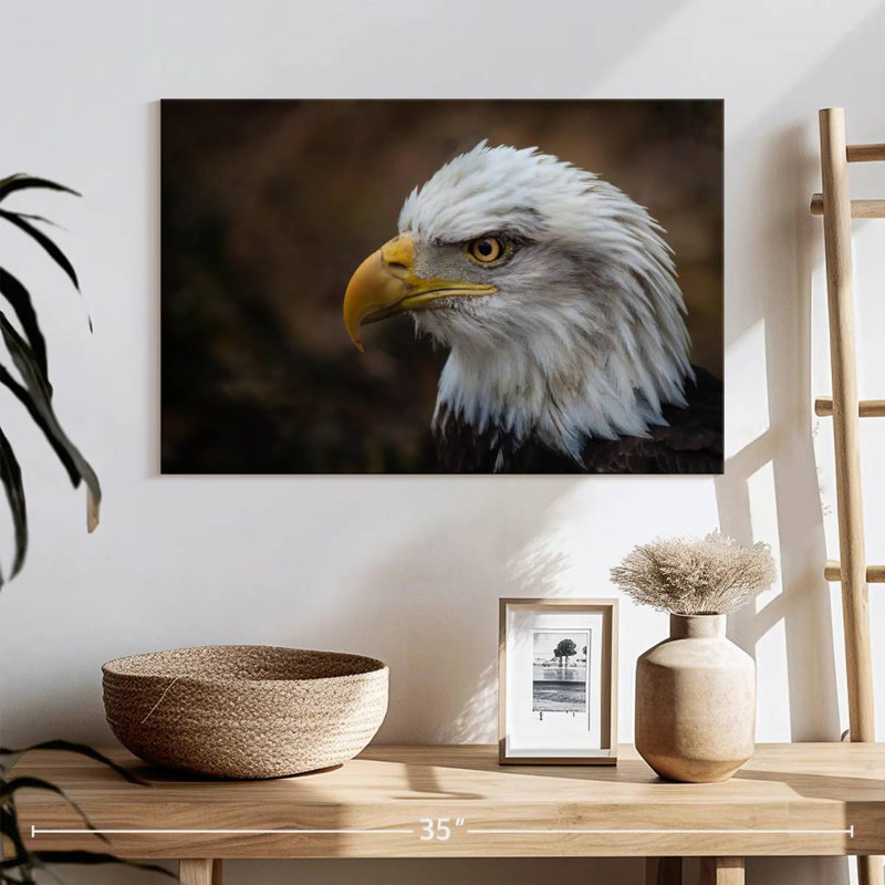 Brampt Bald Eagle Gaze, 20" H x 30" W