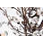 Stever 18 - Light Dimmable Tiered Chandelier-26824320
