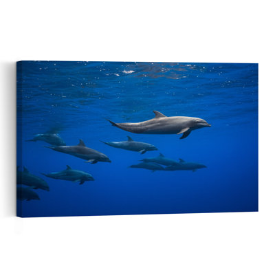 Dolphins Swim Together Peaceful Serene Tranquil Dolphin Nature Ocean Wall Art Print 1 Piece Wrapped Canvas Wall Art