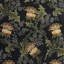 ARTICHOKE CANVAS BLACK