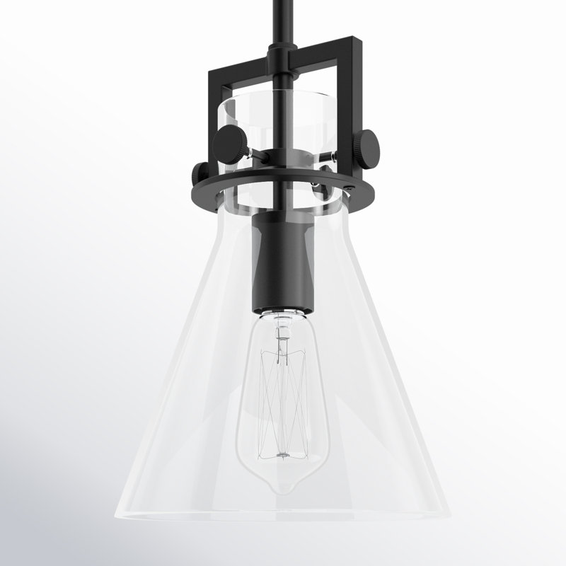 Luminaire suspendu avec tige 30 po Coterie, Transparent, Noir mat, H 11,38 po x l 8 po x P 8 po