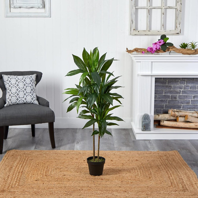 Plante artificielle en soie Dracaena (Real Touch)