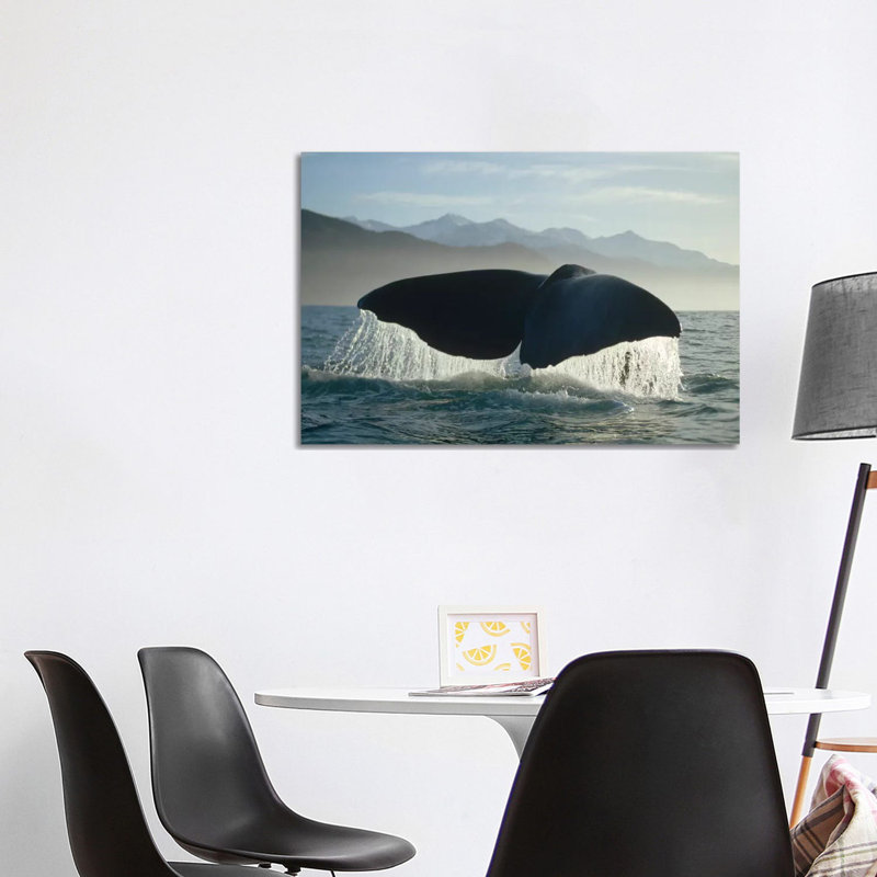 Sperm Whale Tail, New Zealand by Flip Nicklin - Wrapped Canvas Print, 101.6 cm H x 66.04 cm W x 1.91 cm D