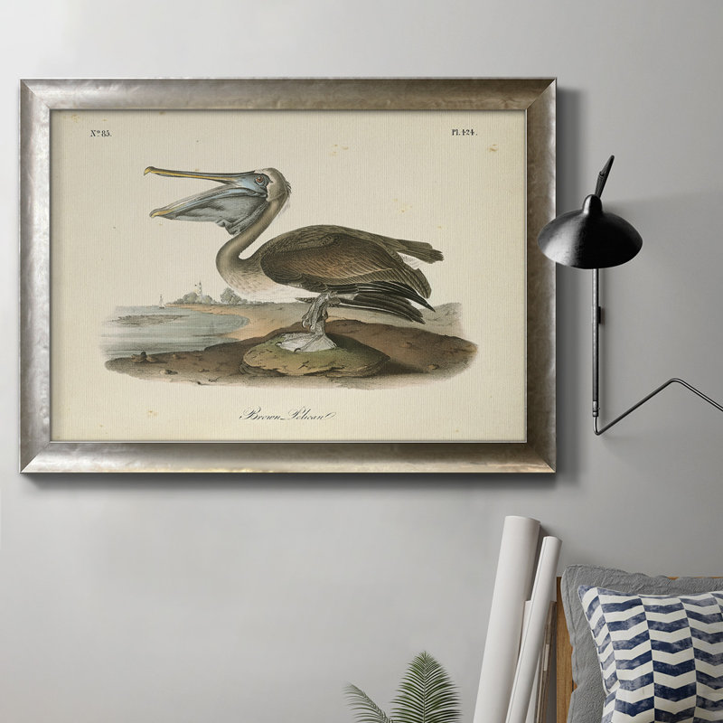 " Audubons Brown Pelican ", 16" H x 20" W x 2.5" D