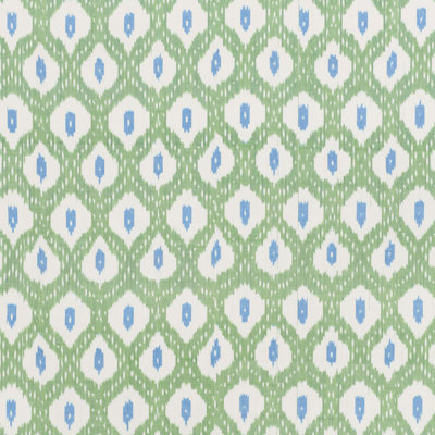 Indio Ikat Fabric
