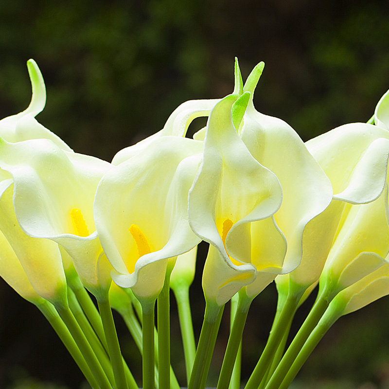 Lily Arrangement in Vase, Ivory
