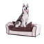 Canapé pour chien Pablo-57596948-57596947