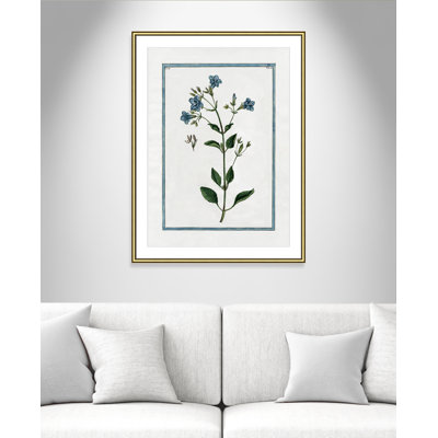 Colombe Shabby Elegance Botanical II - Art encadré
