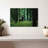 Brampt Elk In Forest-108906575