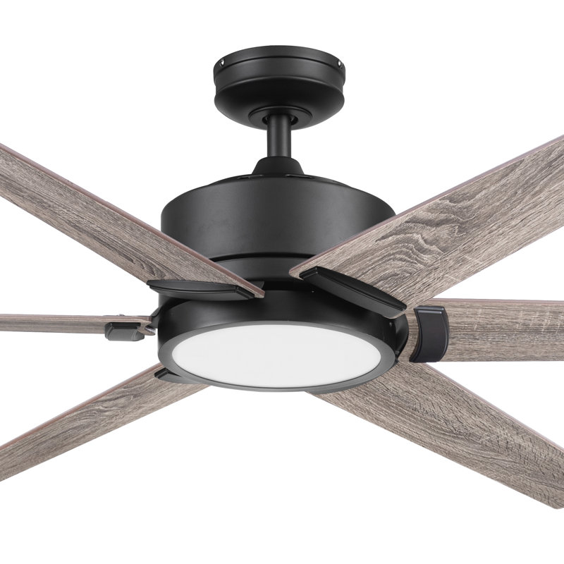 62'' Talbert 6 - Blade Standard Ceiling Fan with Remote and Light Kit Included