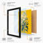 Study Botanical - Framed Print-105213659-105213663