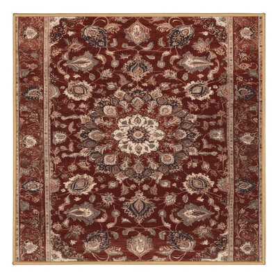 Machine Washable Persian Brown Area Rug
