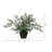 Maiden Hair Artificial Plant in Decorative Planter