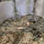Customer photo 4 of 6