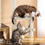 Litter Box Enclosure