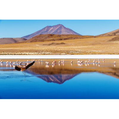 Dupuy Flamingo - Wrapped Canvas Print