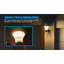 Gezelle LED Wall Light