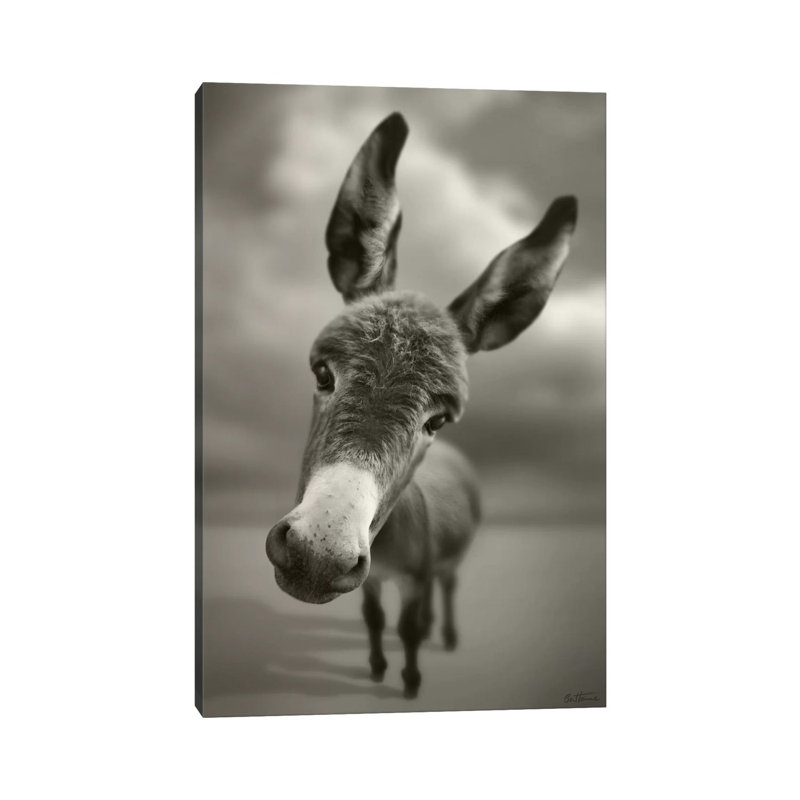 Hey There by Ben Heine - Print on Canvas, 30.48 cm H x 45.72 cm W, Wrapped Canvas