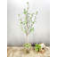 Arbre artificiel artificiel-1679349350