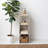 Bridgnorth Bookcase-1812331676-1812331679