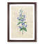 Bellflowers by Pierre-Joseph Redoute - Framed Print-55602060-55602063