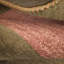 Pickar Area Rug in Multi Red