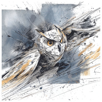 Flying Owl Illustration Blankets