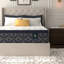 Matelas ferme de 14 po Serta Perfect Sleeper-129439601