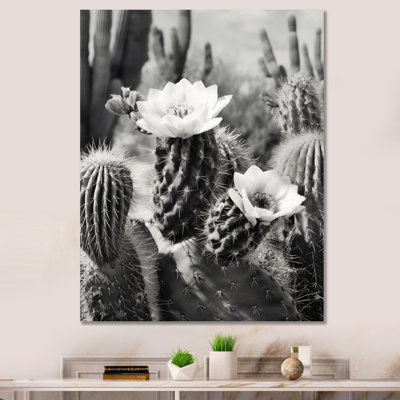 Keymari Gray Desert Cactus III sur toile