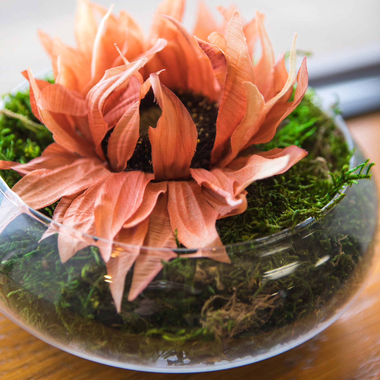 Sunflower Floral Stems, Brown