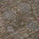 Premium Machine Washable Prisco Chocolate Rug