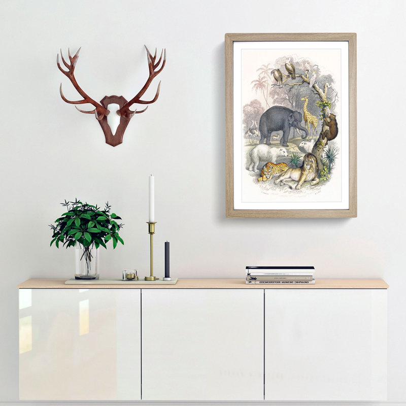 Animal Kingdom Illustration by Oliver Goldsmith - Framed Print, 33cm H x 24cm W x 2cm D, Oak Framed