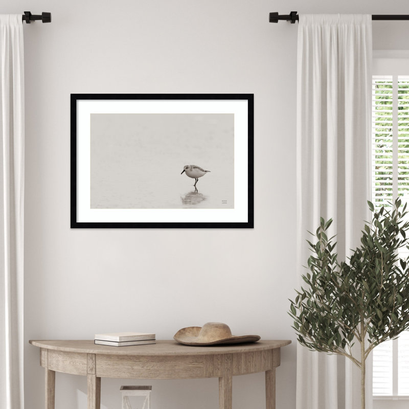 «Tybee Island Sanderling» par Waynesville, reproduction d'art encadrée sur bois, 19 x 25, Noir Svelte