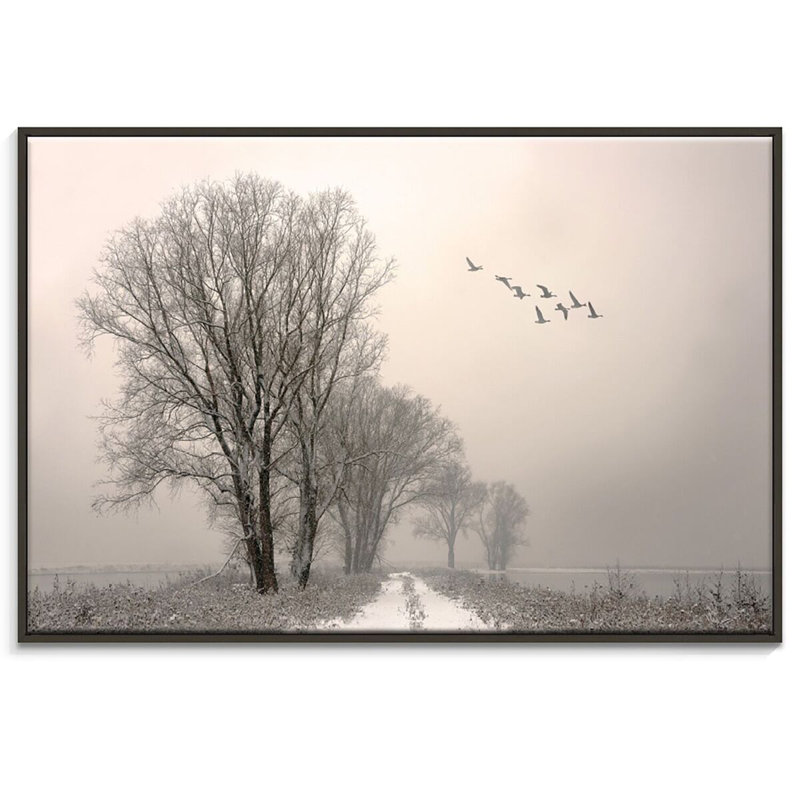 Print on Canvas, 51cm H x 76cm W, Black Floater Frame