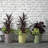 Madison Indoor/Outdoor Modern Round Planter-309931500-309931488