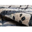 Tapis gris-1367604536