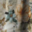 Rossie - Rideau à motif floral - Rideau occultant - 1 panneau-864317895